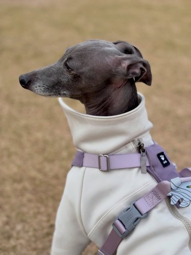 Carousel post from geunsik_e.