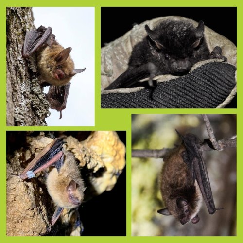 Photo post from oregonwipublib.