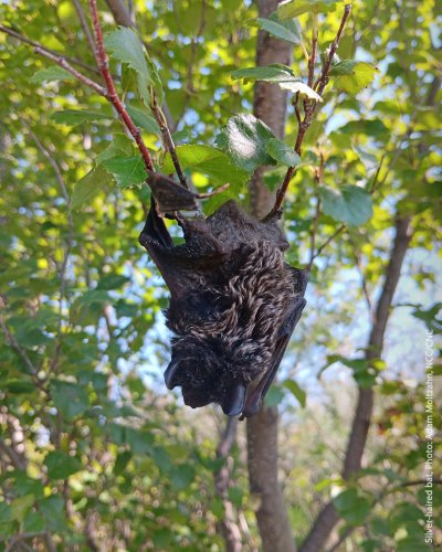 Photo post from ncc_cnc.