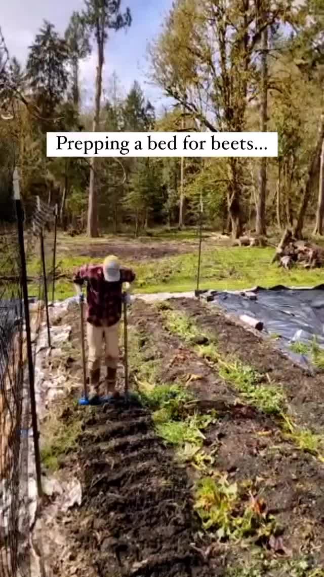 Video post from hungryhollowfarm.