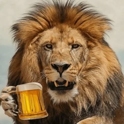 Photo post from northlandbrew.