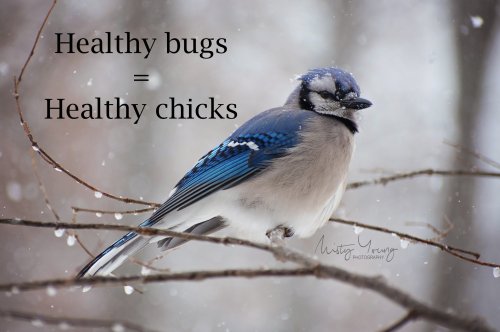 Photo post from mistyyoungphoto.