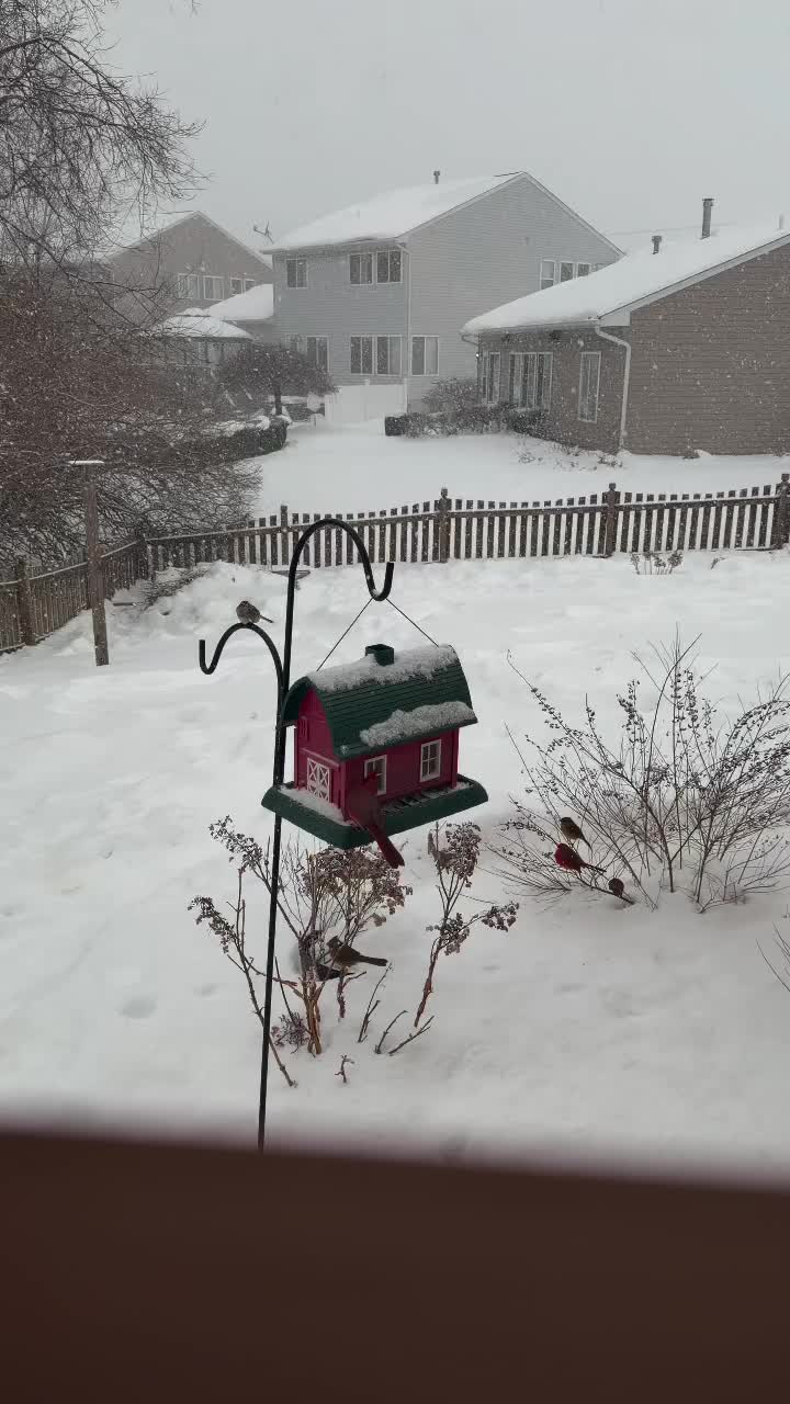 Video post from miamisburg.roots.and.shoots.