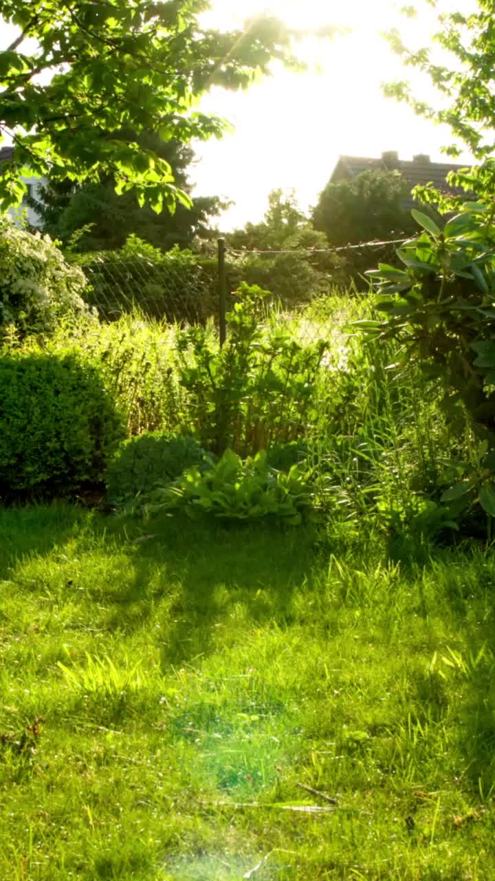 Video post from thelearningcouncilco.