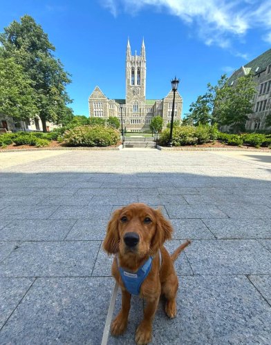 Photo post from bostoncollege.