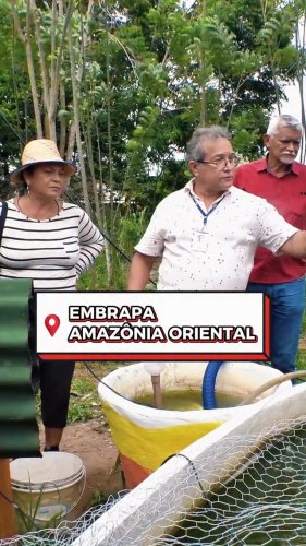 Video post from ananindeuapma.