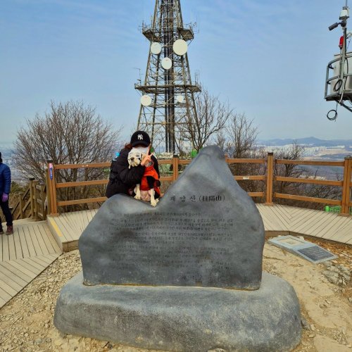 Carousel post from cocker_jerry_.