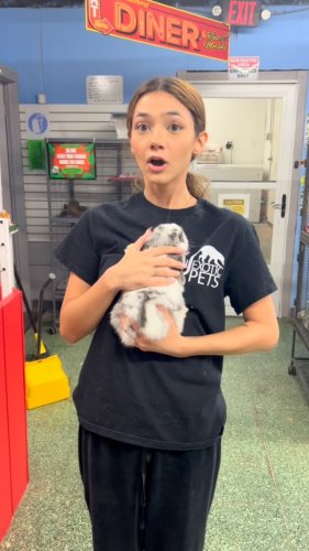 Video post from njexoticpets.