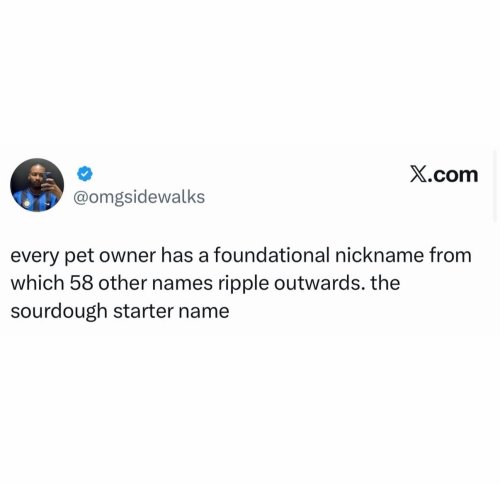 Photo post from njexoticpets.