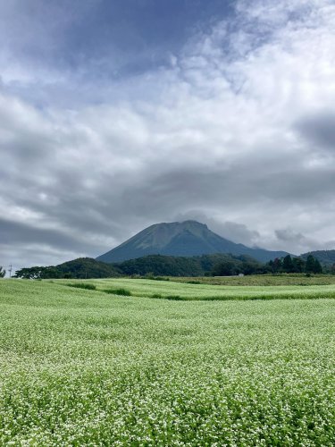 Carousel post from masumizutenkuu.