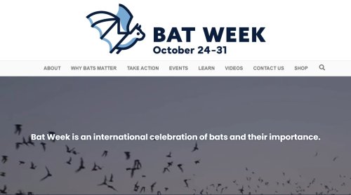 Photo post from normandeauassoc.