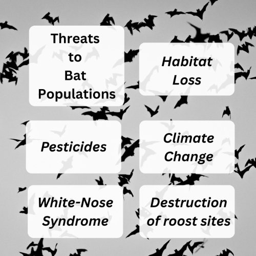 Photo post from prairielandconservancy.