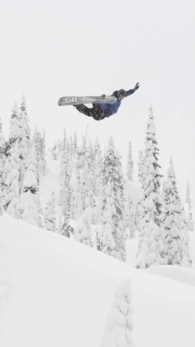 Video post from libtechnologies.