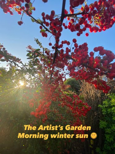 Carousel post from dbrewinscookart.