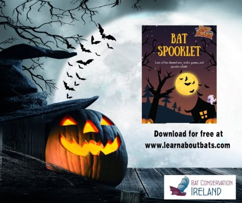 Photo post from batconservationireland.