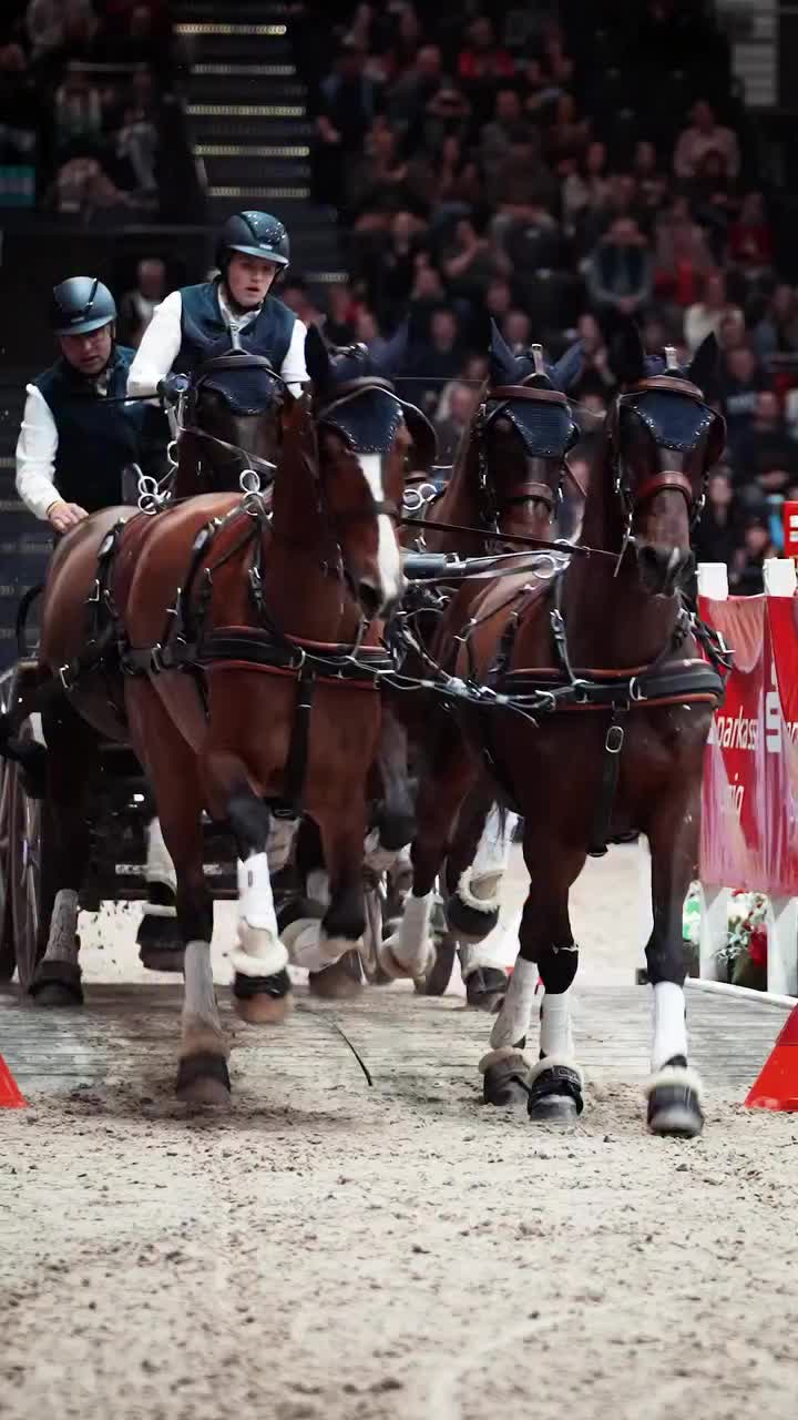 Video post from fei_global.