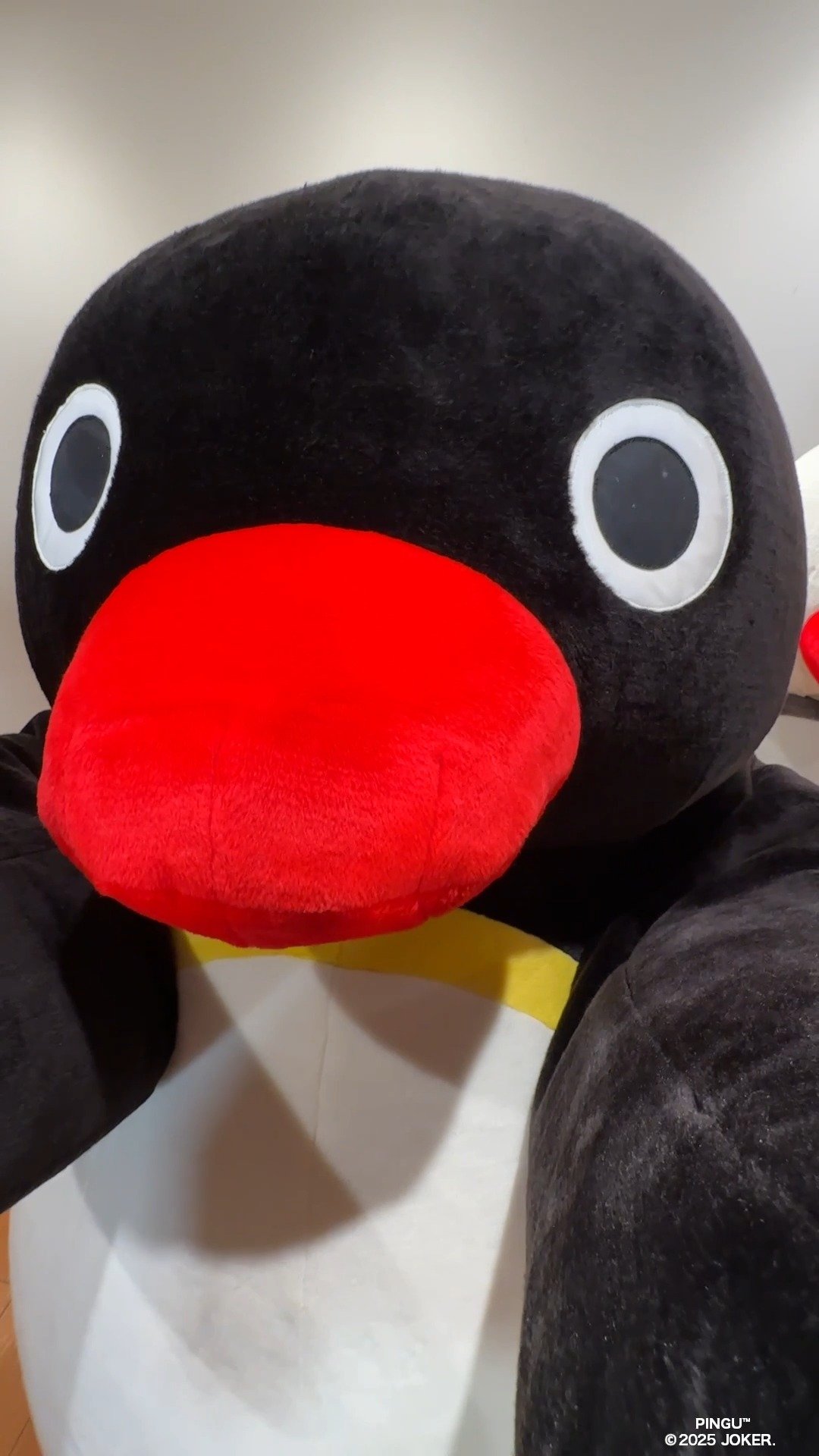 Video post from pingu_jp.