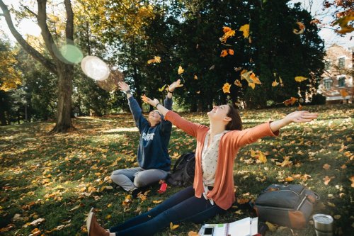 Photo post from wittenberguniversity.