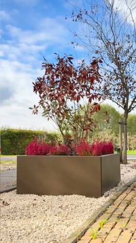 Video post from hoff.van.saar.