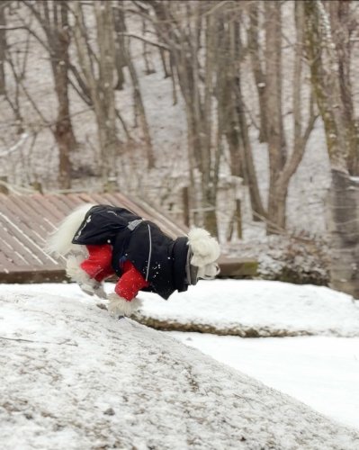 Carousel post from yomiyeon_.