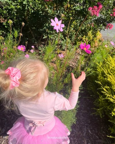 Carousel post from tinytutusballet.