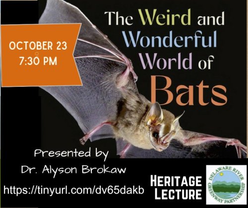 Photo post from delrivergreenway.