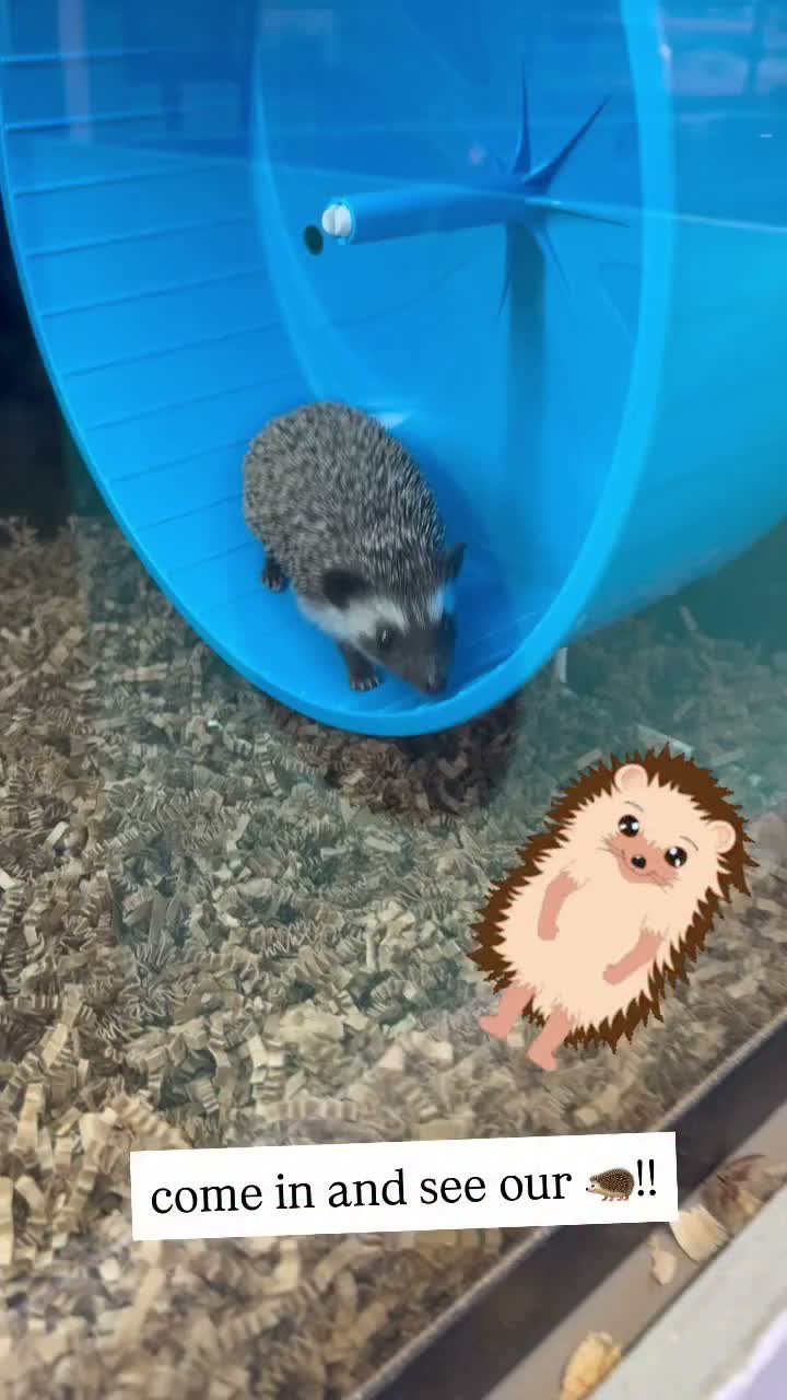 Video post from njexoticpets.