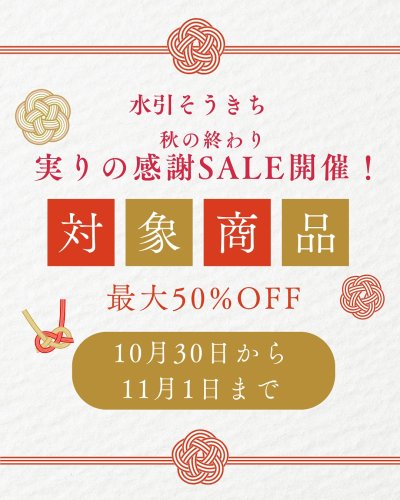 水引製品のことなら南信州産直通販 水引そうきち