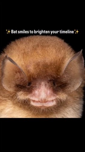 Video post from azstateparks.