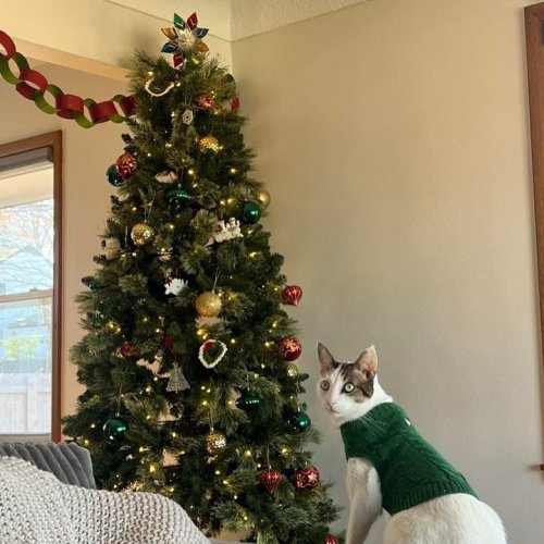 Carousel post from ls2group_.