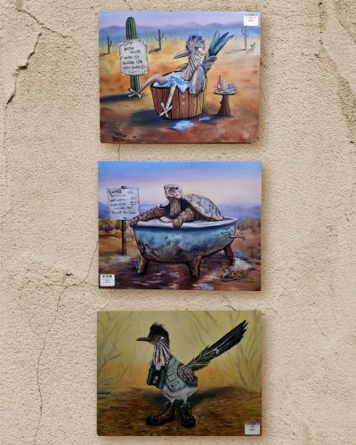 Carousel post from patagoniatradingpost.