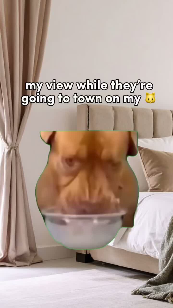 Video post from lovehoneyofficial.