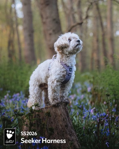 Carousel post from hurttakorea.