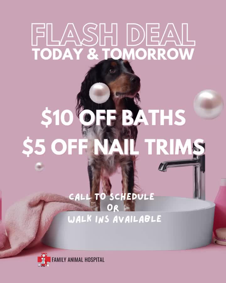 Carousel post from familyanimalhospitalcm.