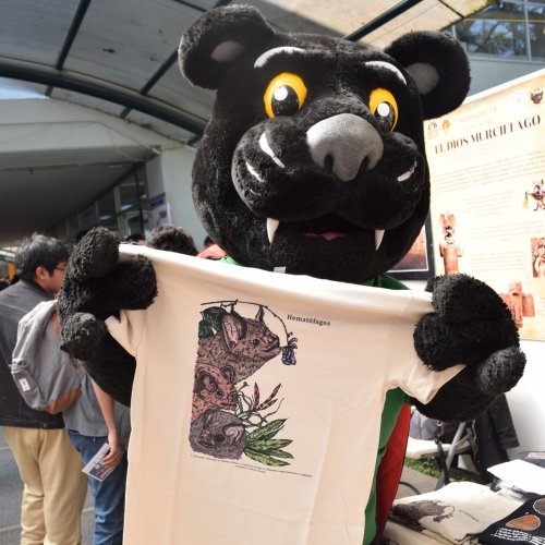 Carousel post from murci_uami.