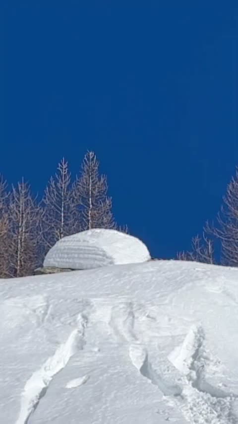 Video post from gnusnowboards.