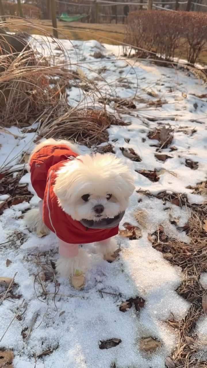 Video post from yomiyeon_.