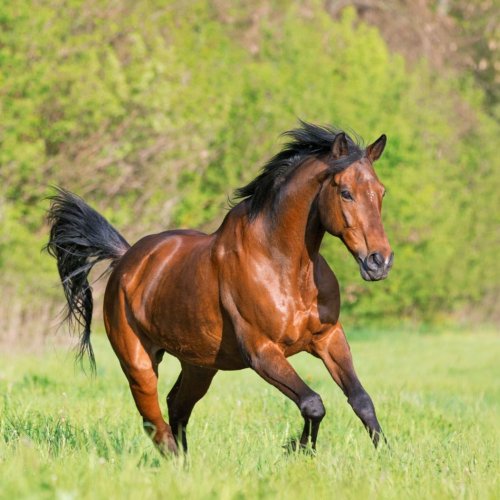 Photo post from fei_global.