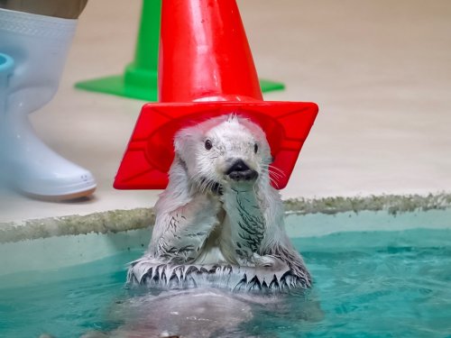 Photo post from 1117n1117mn.