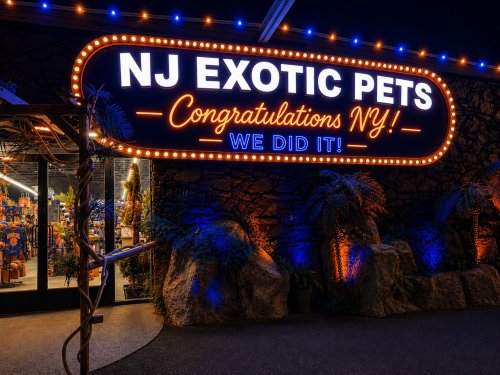 Photo post from njexoticpets.
