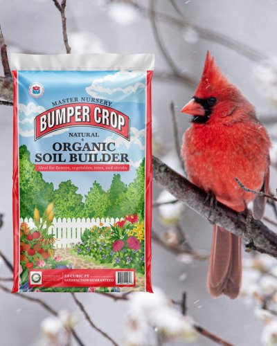 Photo post from masternurserybumpercrop.