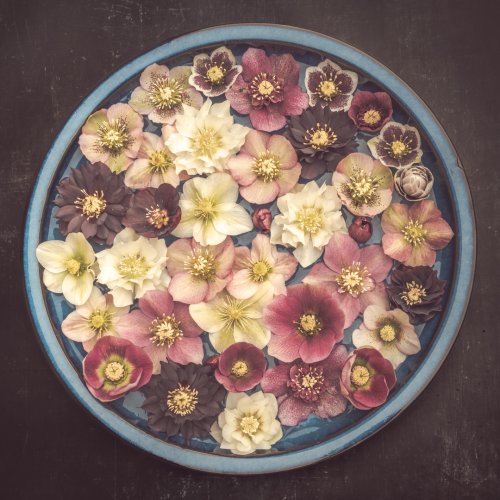 Photo post from angierobpics.