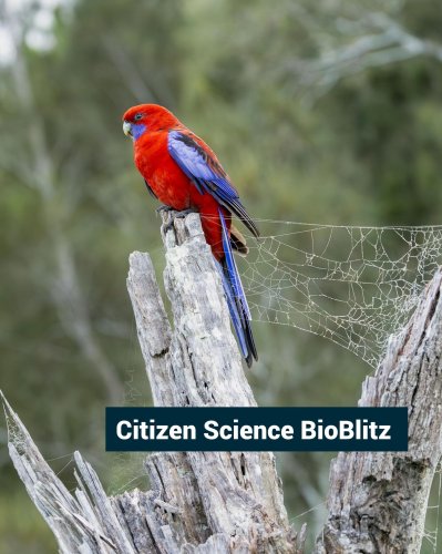 Photo post from alburycity.