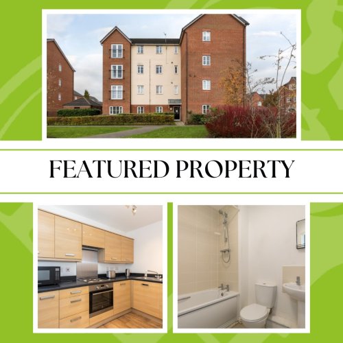 Carousel post from reganhallworth.