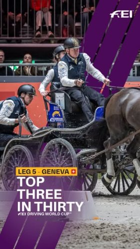 Video post from fei_global.