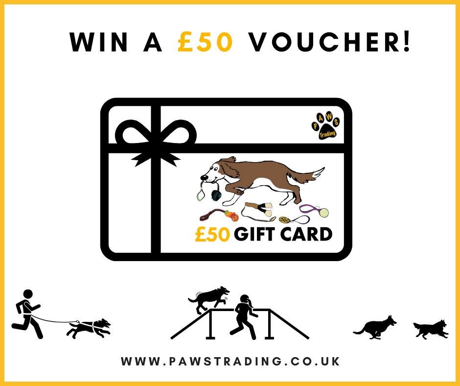 Photo post from pawstrading.