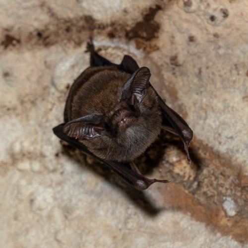 Photo post from biopostales.