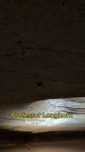 Video post from longhorncavern.