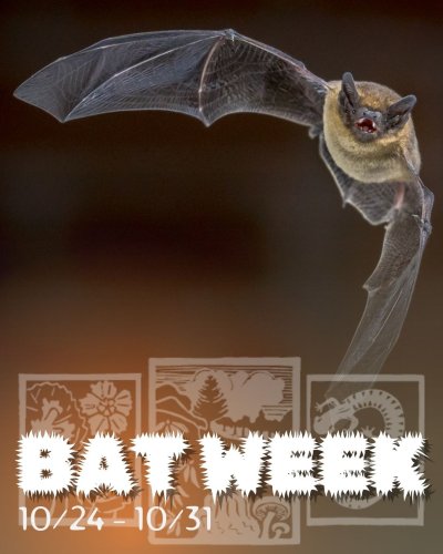 Photo post from highlandsbiostation.