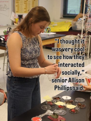 Carousel post from bvtigernews.